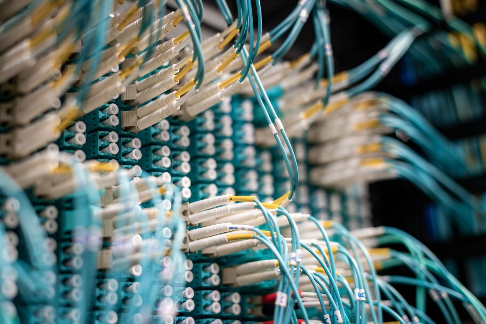 Fibre optic cables plugged into a dense patch panel