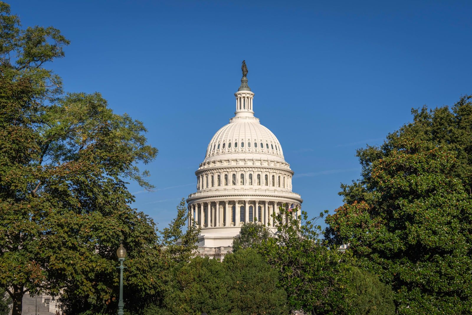 The United States Capitol building photographed on a clear day