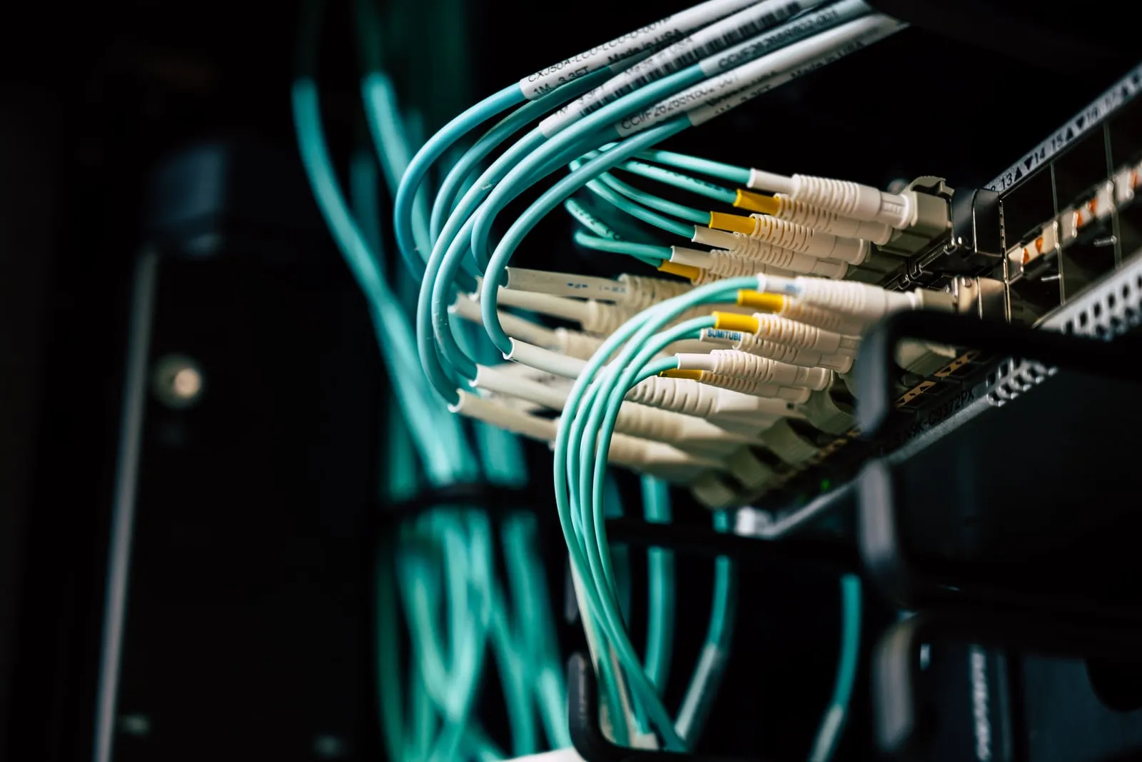 Fibre optic cables plugged into network switches
