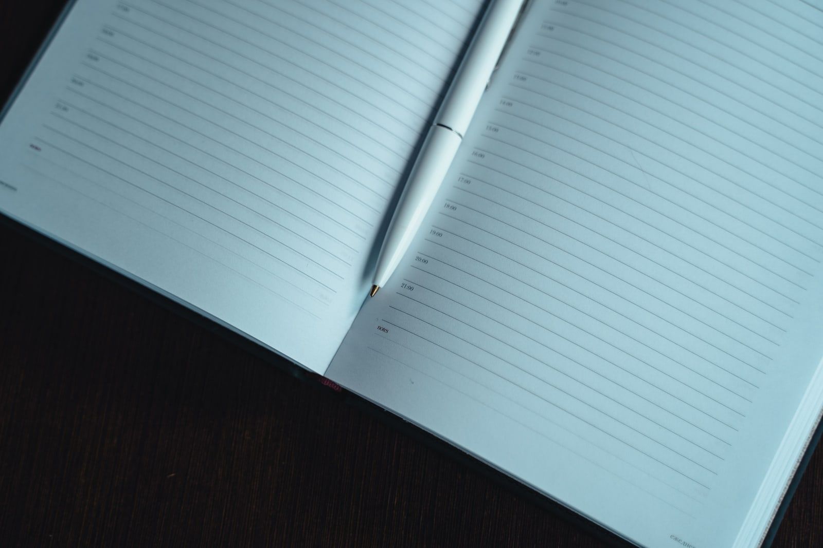 An open blank diary with a pen resting on a dark wooden table