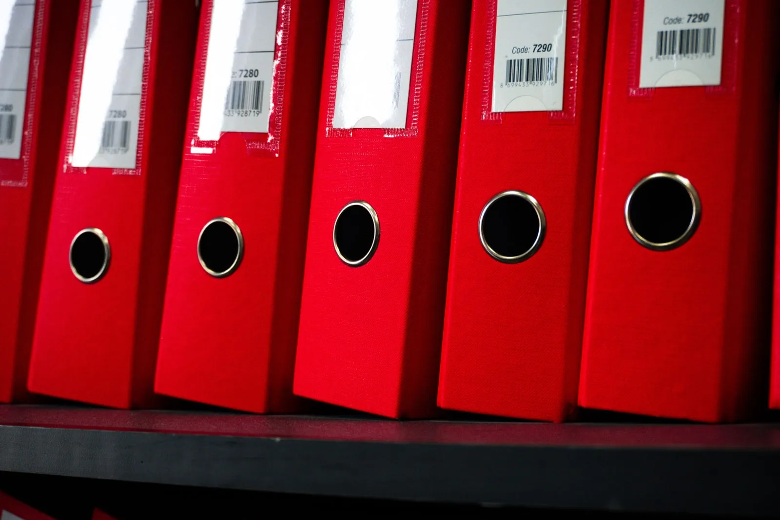 Rows of binders on office shelves