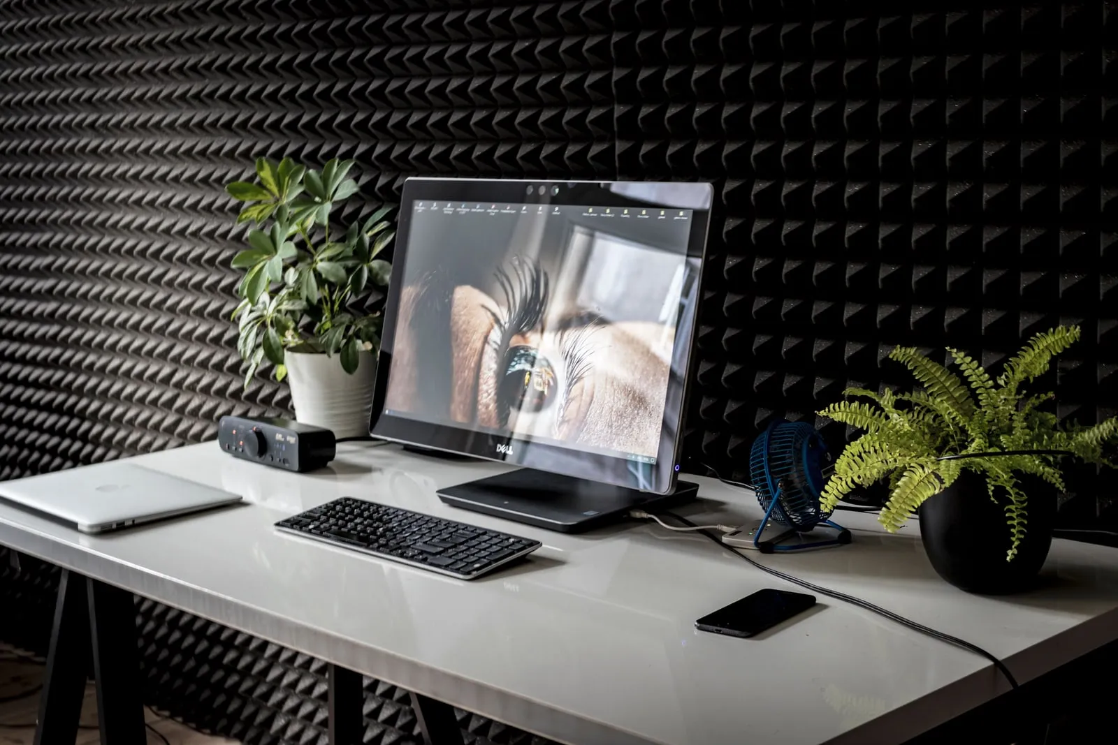 A home desk with an all-in-one desktop computer, a laptop and plants