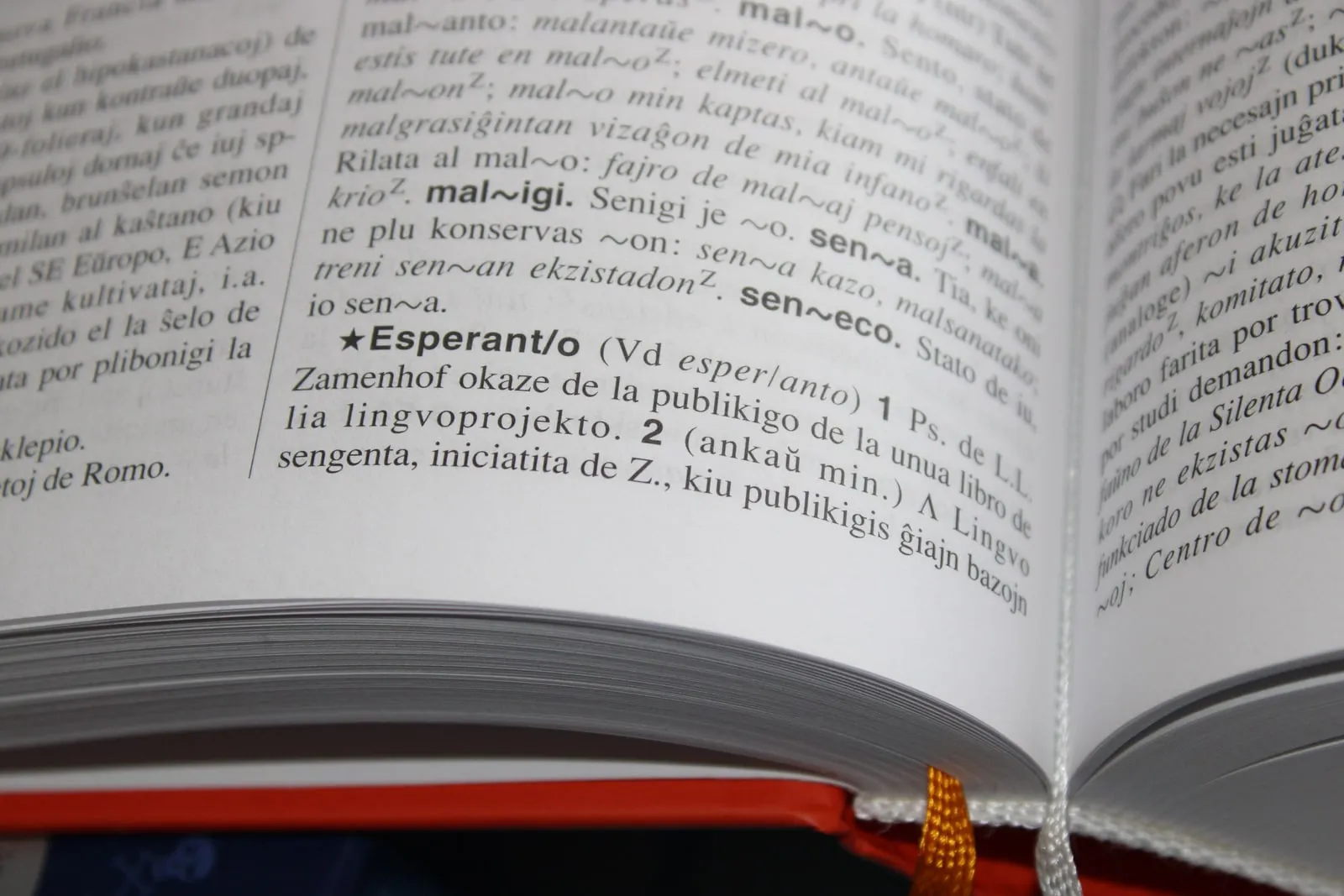 An open dictionary showing columns of printed words