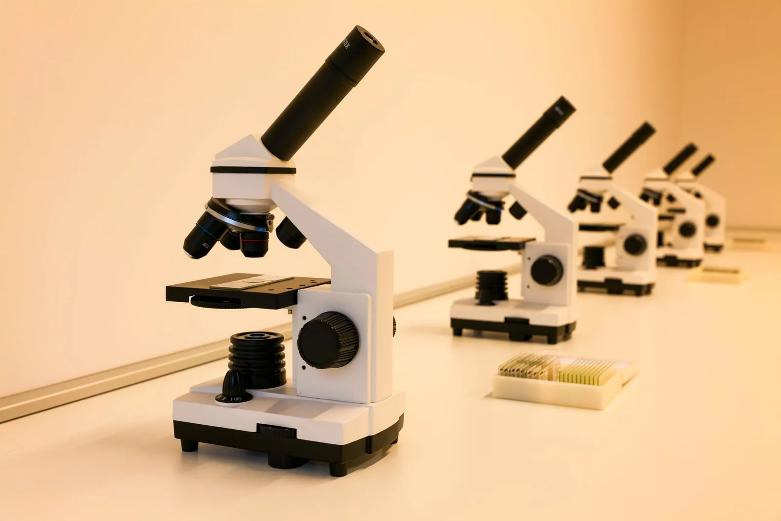 A row of microscopes on a bench with a tray of prepared slides