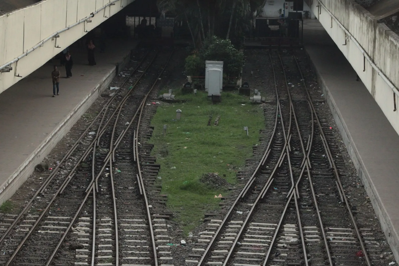 Railway tracks converging at a junction