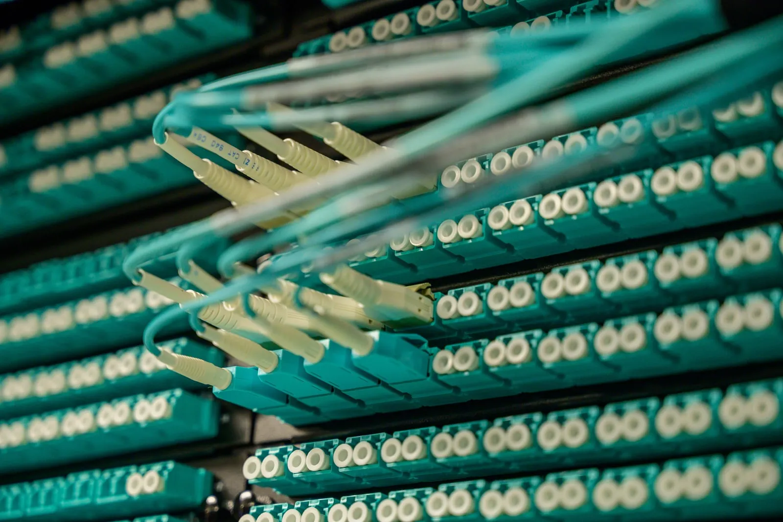 Turquoise fibre optic patch cables plugged into rows of connectors on a network panel