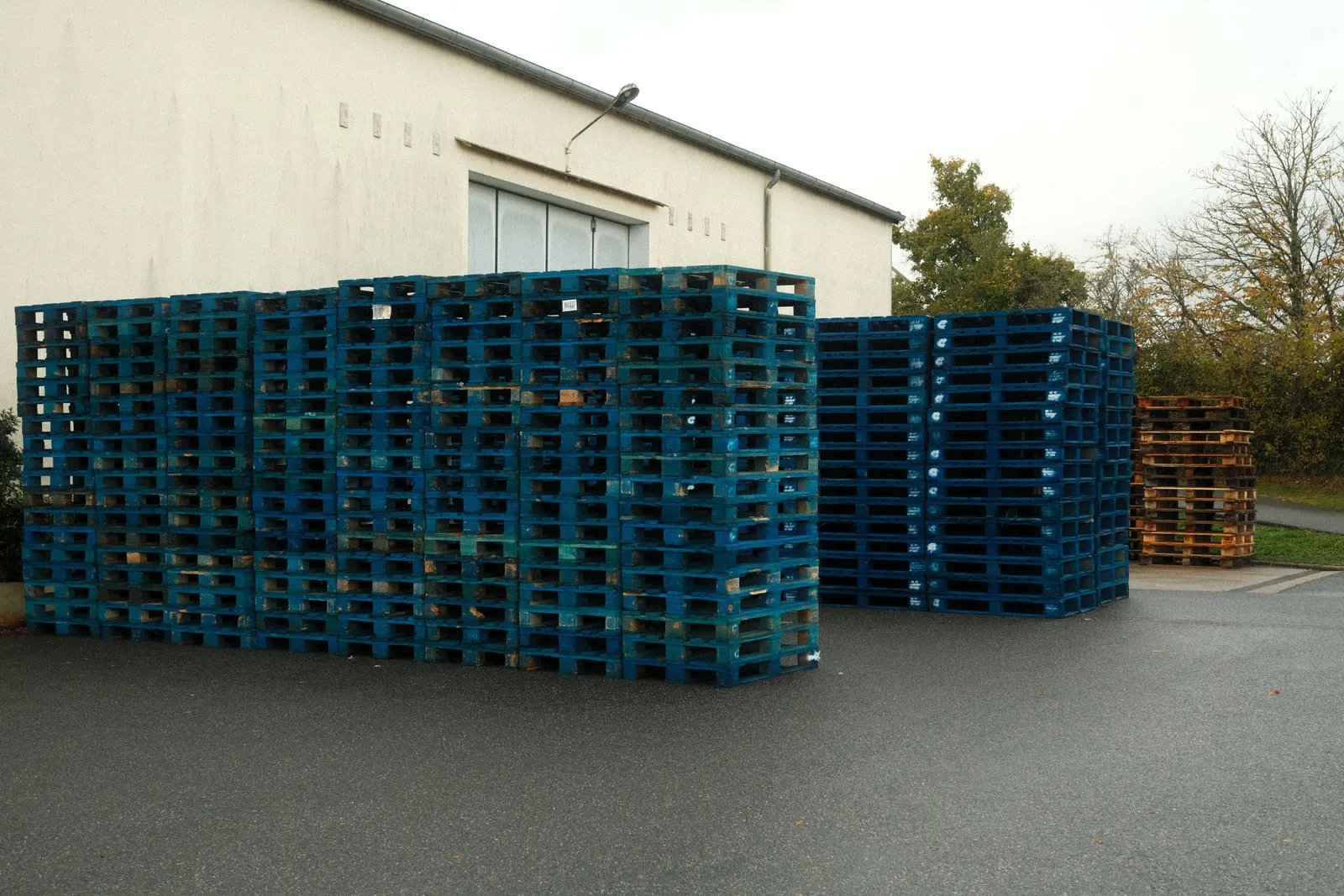 Stacks of blue pallets outside a warehouse