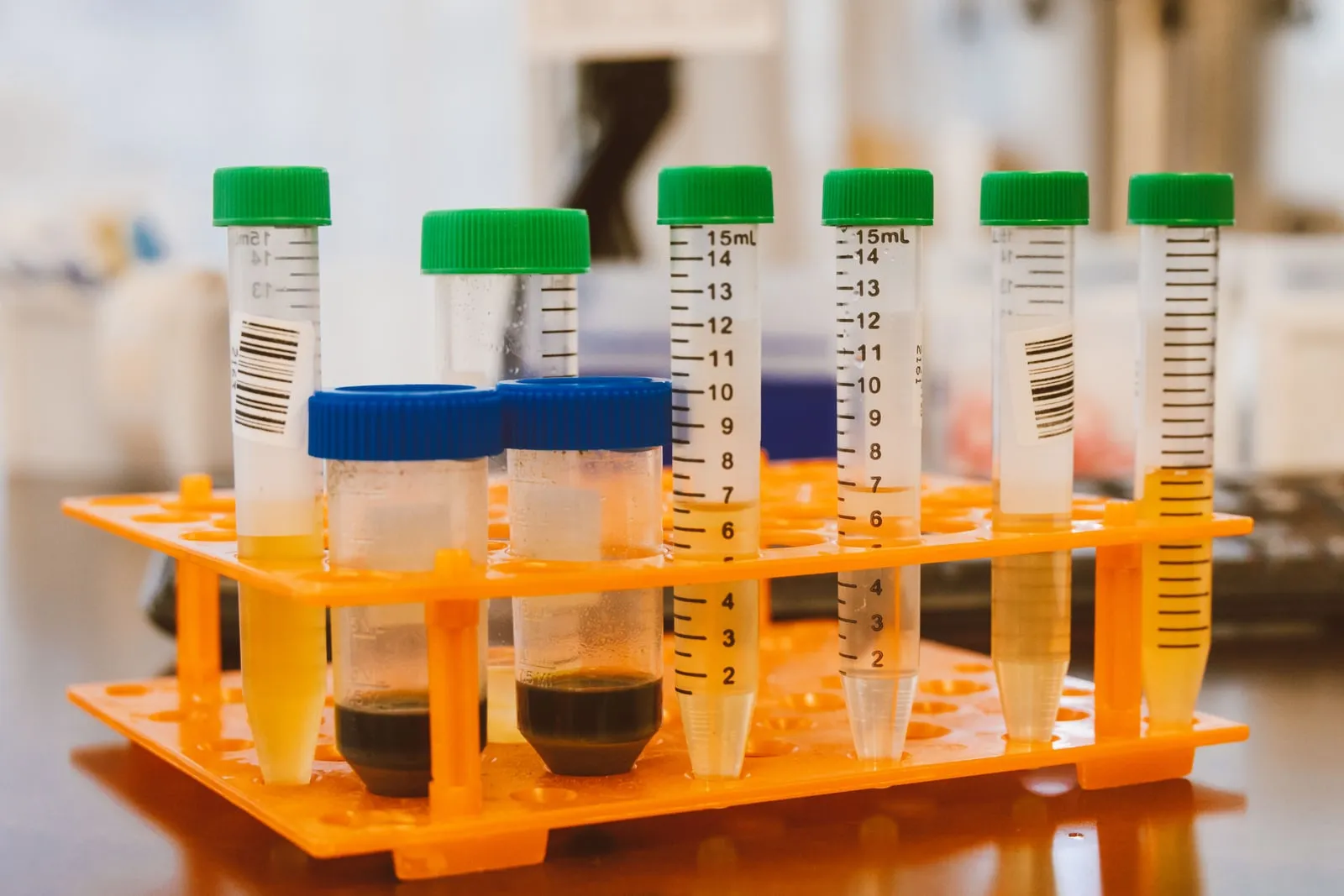 An orange rack of capped sample tubes on a laboratory bench