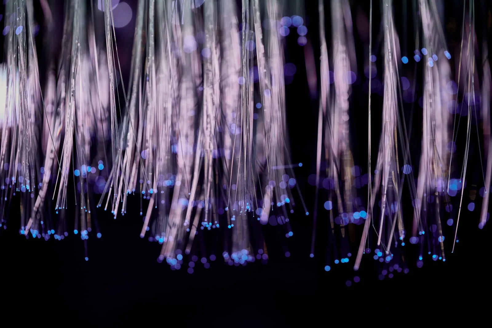 Fibre optic cables glowing at their ends