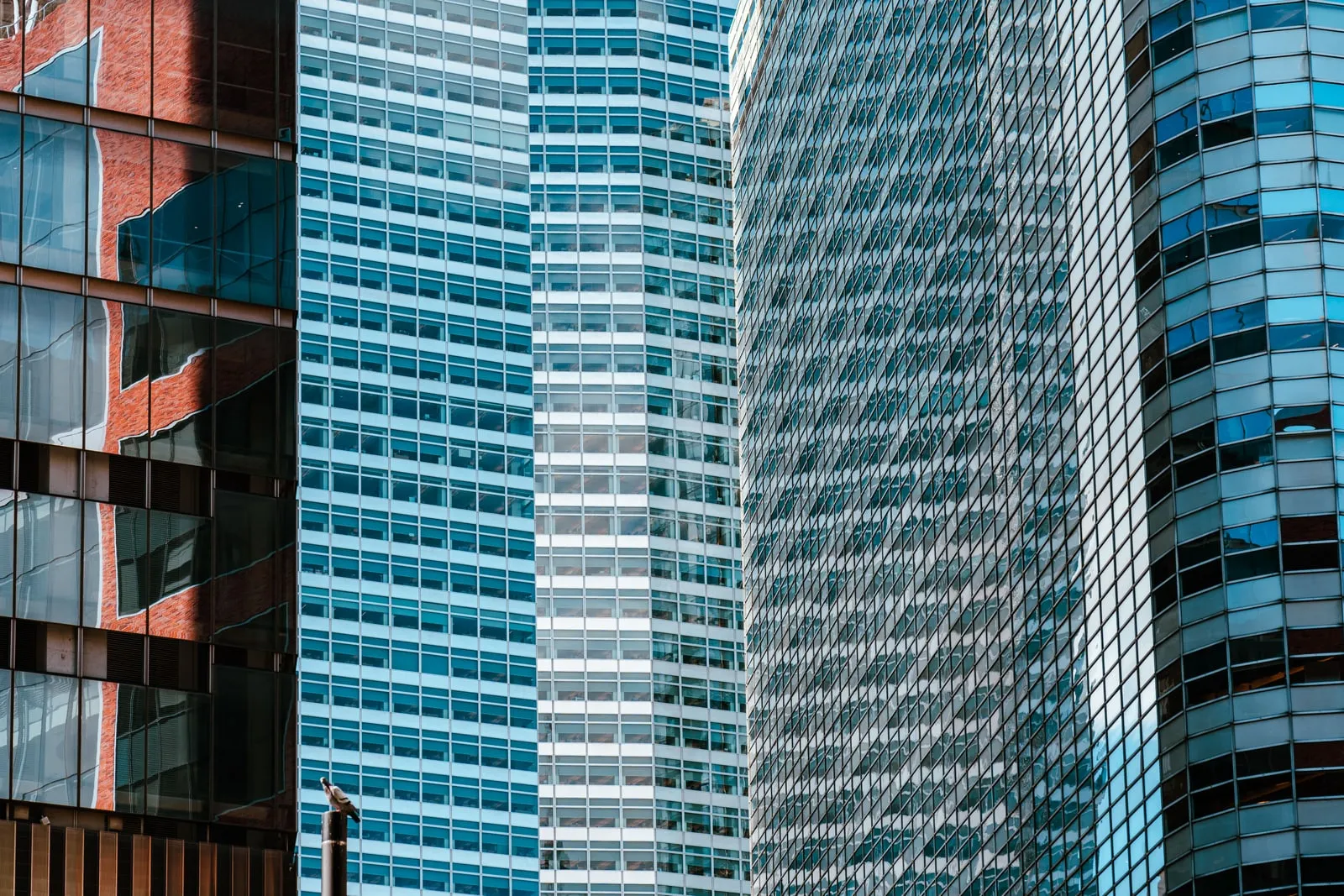Glass facade of a modern office building