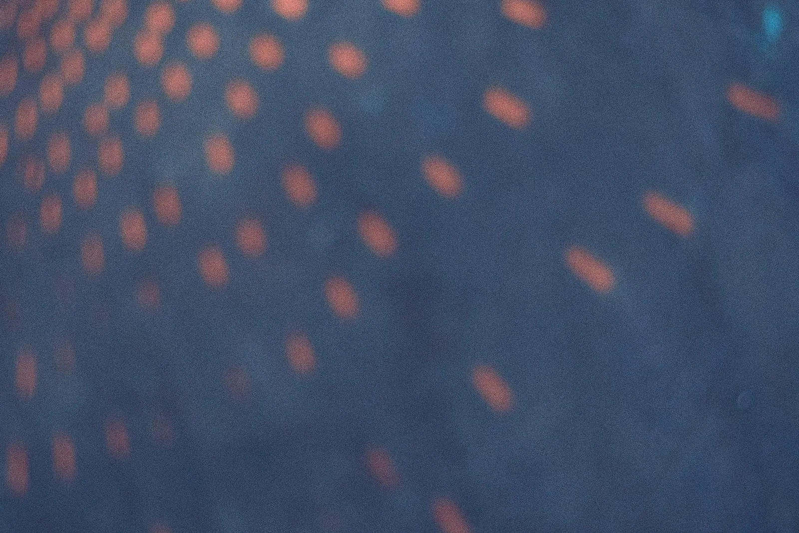 An abstract pattern of coloured dots on a dark background