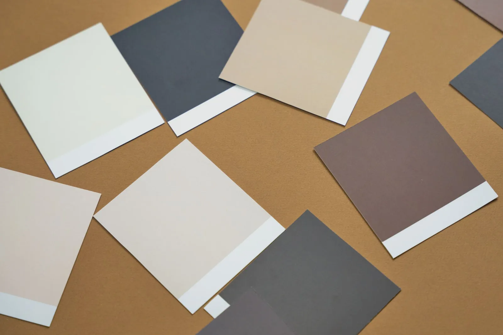 Paper paint swatches in neutral tones laid out on a surface