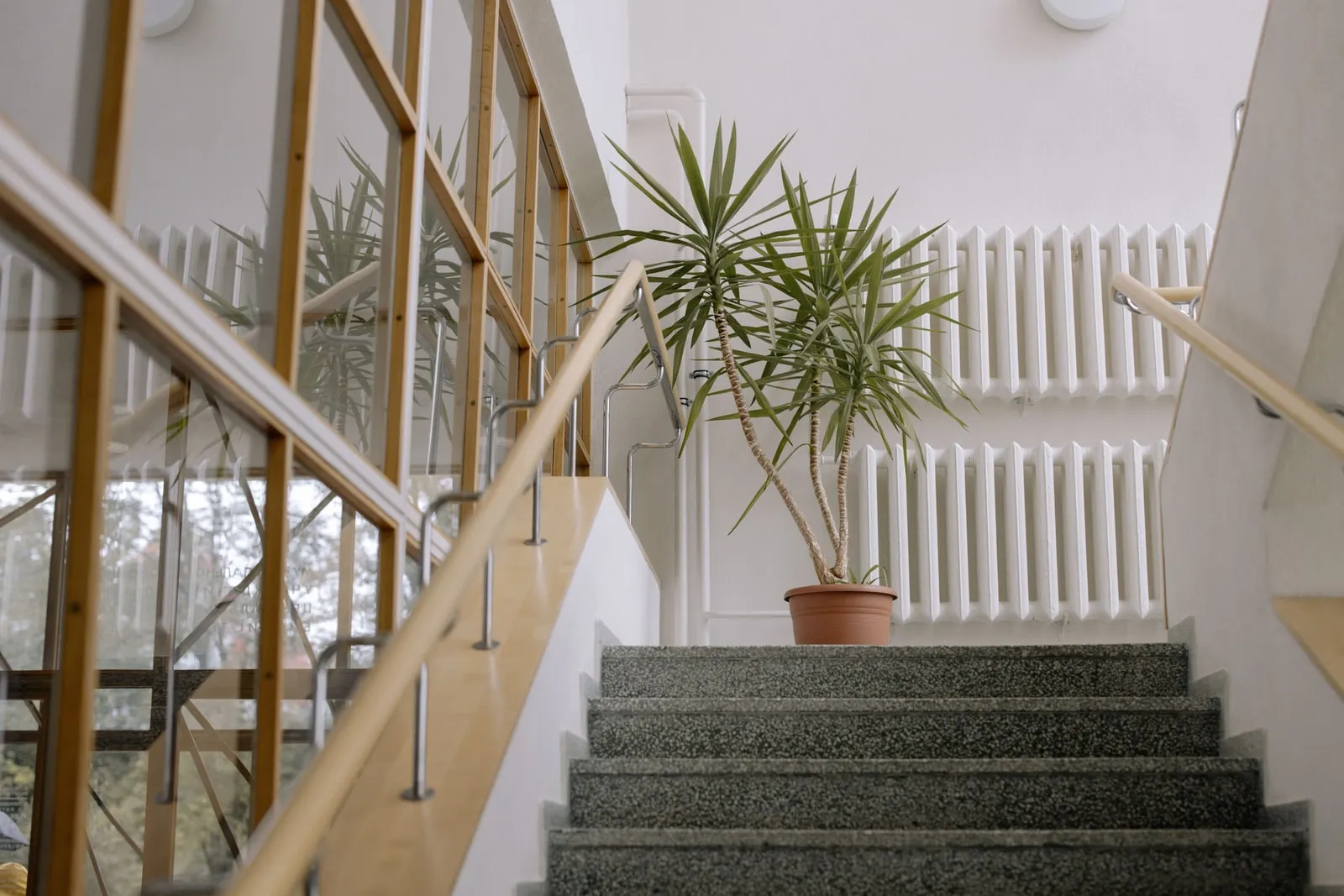 A stairwell with a glass partition and a potted plant in an office building