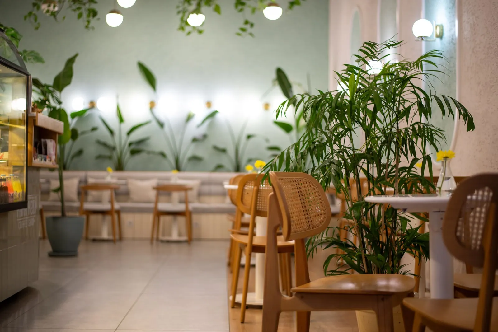 Et roligt cafélokale med stole af træ og planter