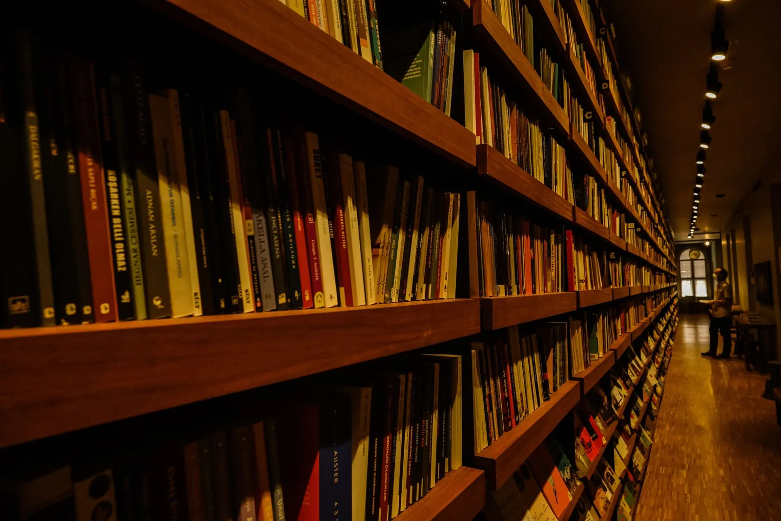 Rows of books on library shelves