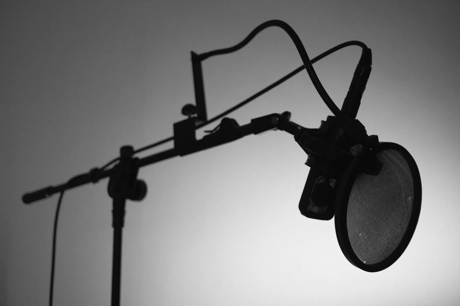 A studio microphone mounted on a boom stand