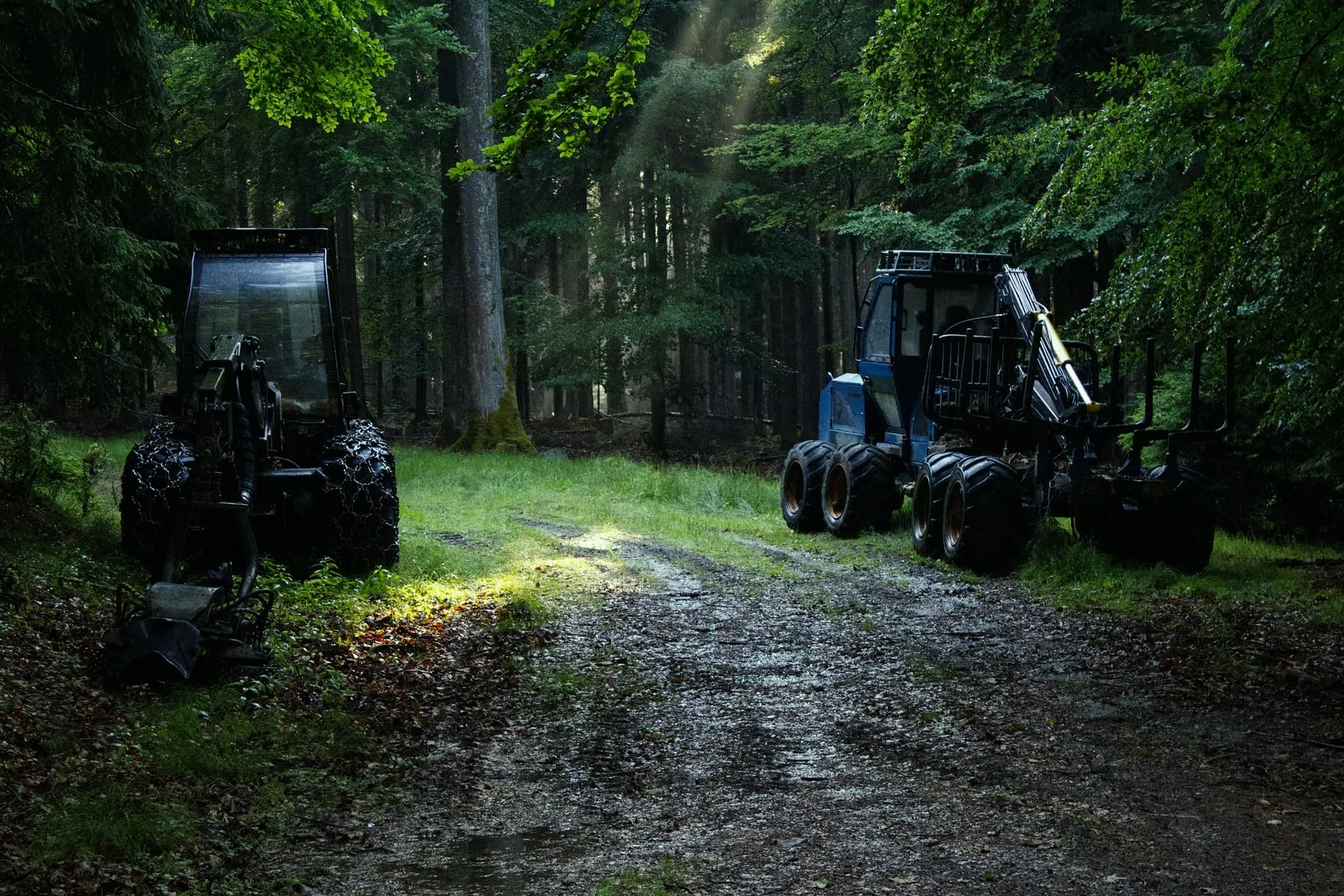 Forestry machines parked on a track through a conifer forest