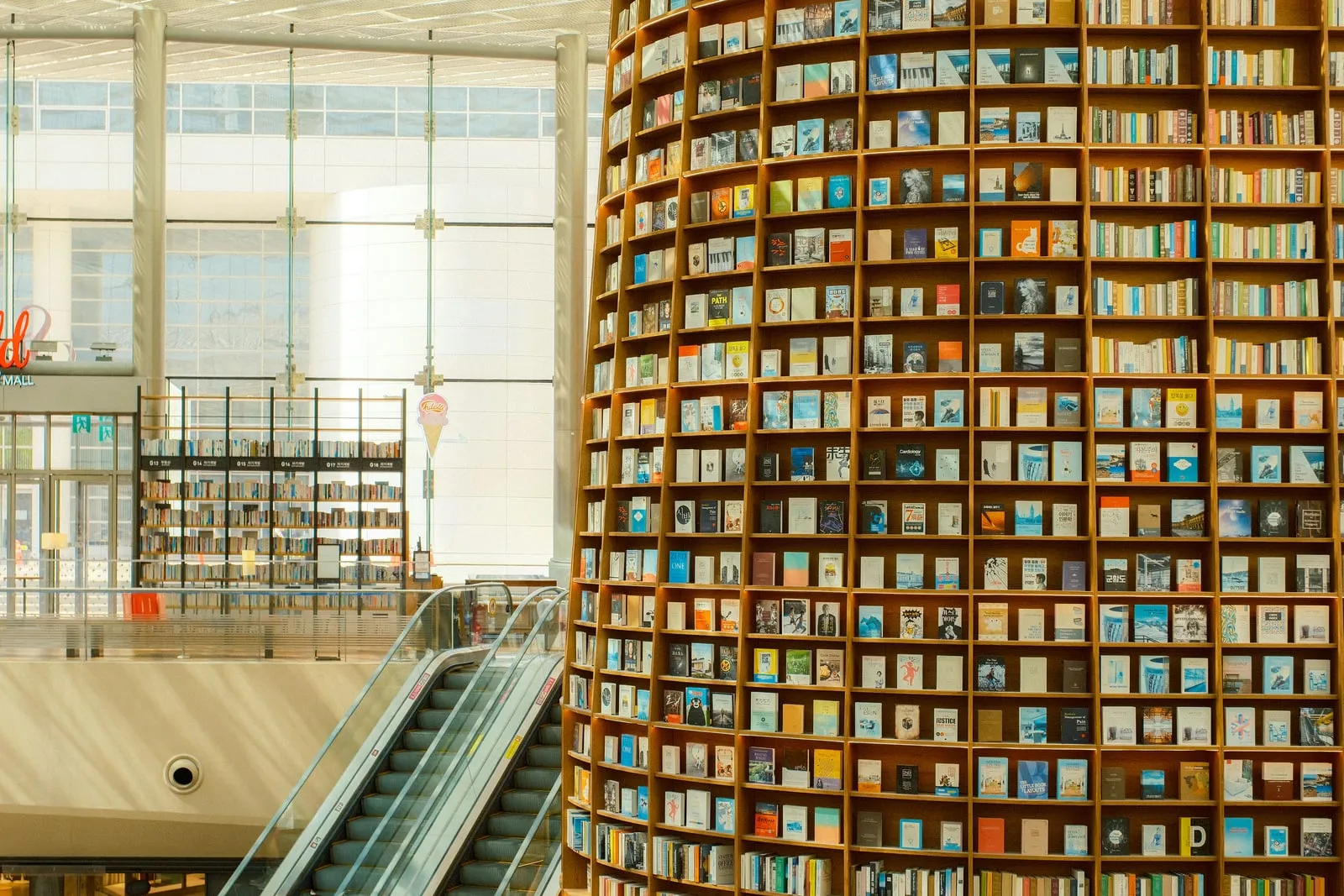 Library shelves filled with books