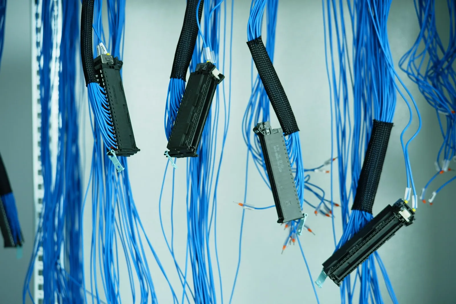 Network cables plugged into switches in a server room