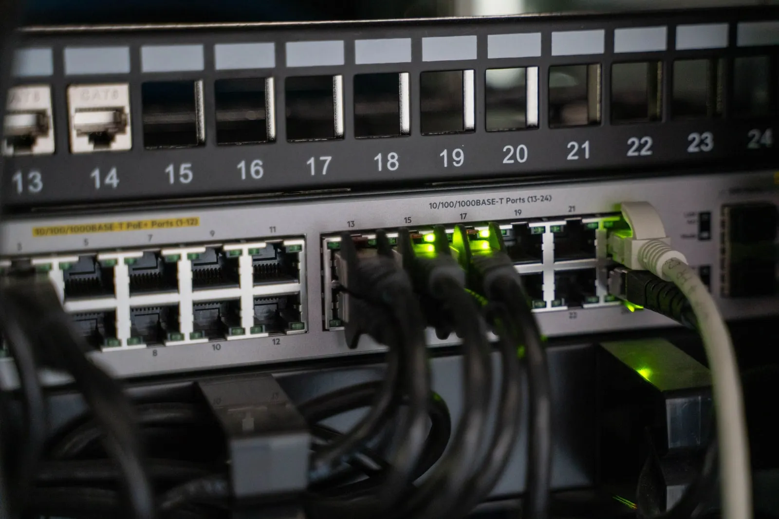 Ethernet cables plugged into a network switch.