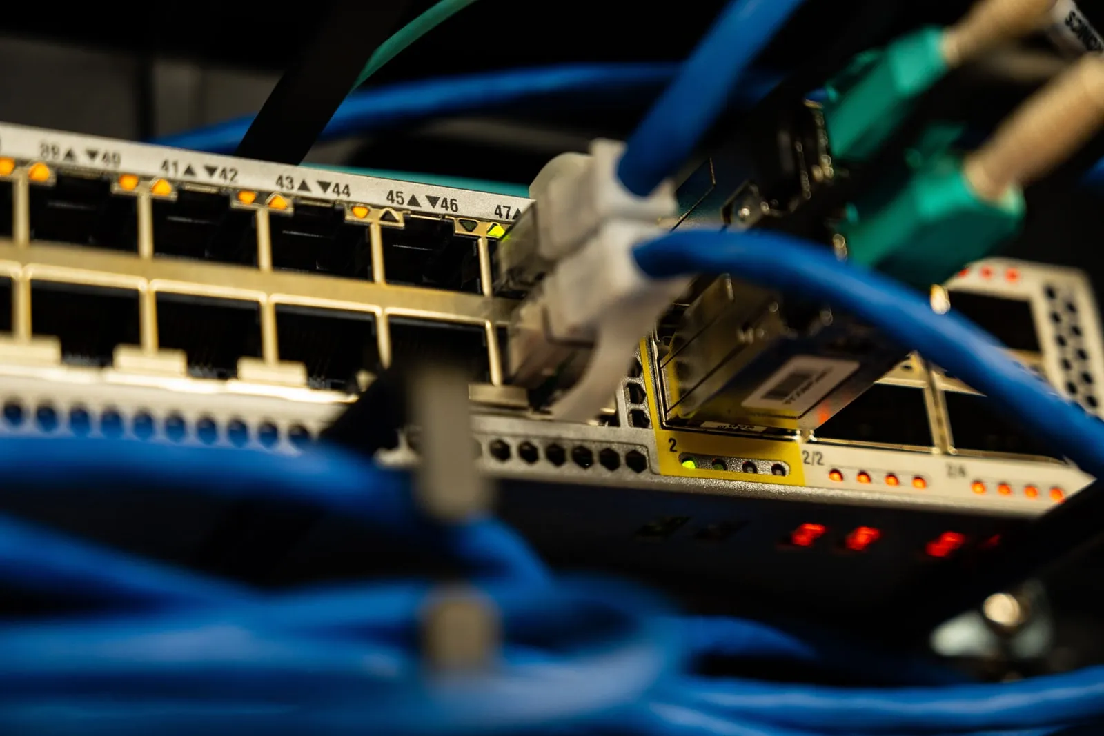Blue network cables plugged into the ports of a network switch